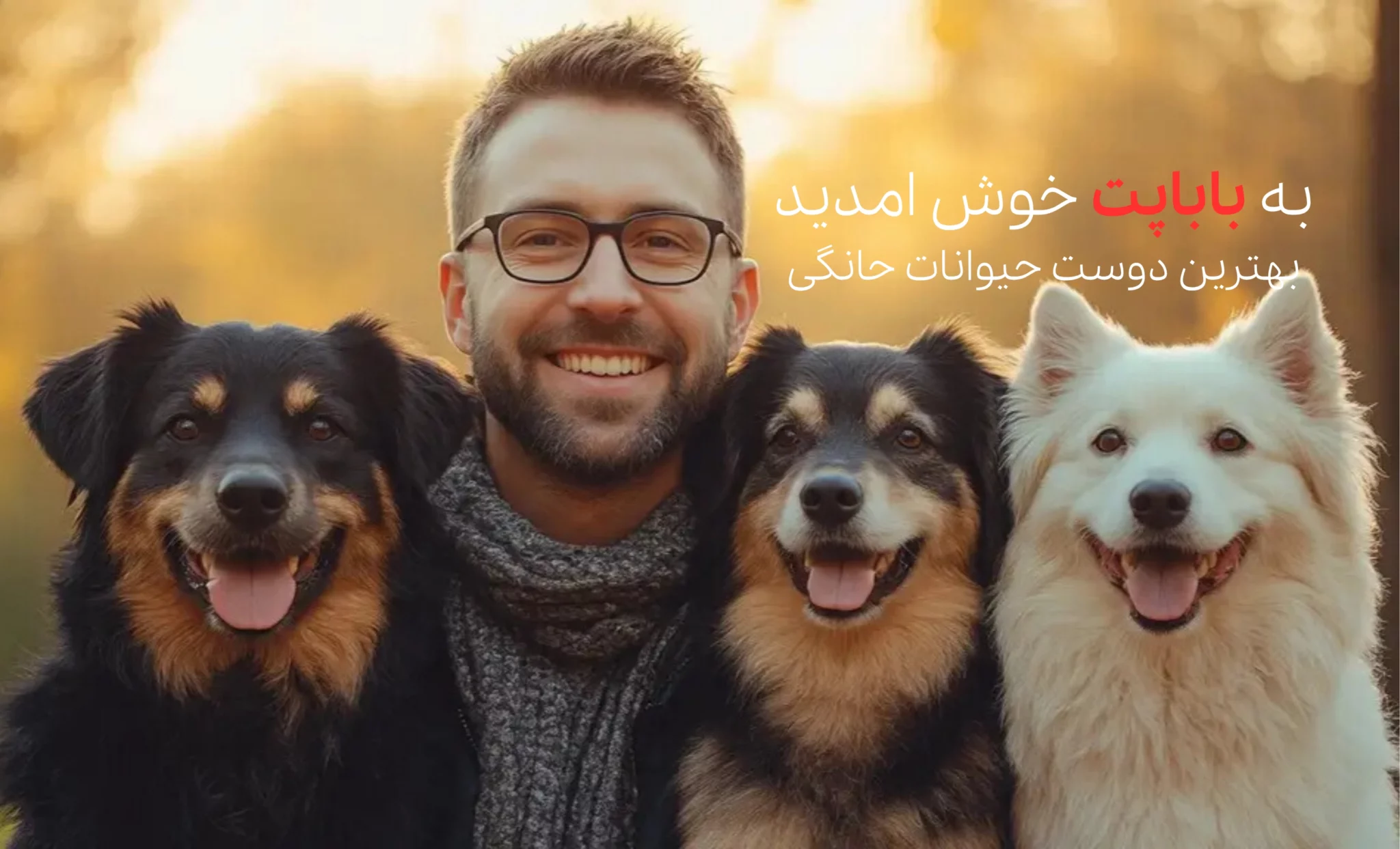 بنر سایت